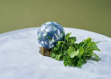 Vegan-course<br>Terravenir thumbnail