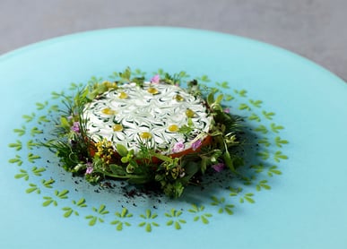  Vegan Course thumbnail